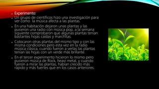 ● Experimento:
● Un grupo de científicos hizo una investigación para
ver como la música afecta a las plantas.
● En una habitación dejaron unas plantas y las
pusieron una radio con música pop, a la semana
siguiente comprobaron que algunas plantas tenían
bastantes hojas caídas y marchitas.
● Colocaron otras plantas del mismo tipo y con las
misma condiciones pero esta vez en la radio
música clásica, cuando fueron a verlas las plantas
tenían las hojas con un verde más brillante.
● En el tercer experimento hicieron lo mismo pero
pusieron música de Rock, heavi metal, y cuando
fueron a mirar las plantas, habían crecido más
rápido y más fuertes que en los casos anteriores.
 