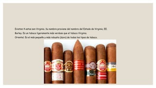 Tabaco Rabito Historia del tabaco..pptx