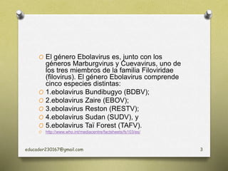 O El género Ebolavirus es, junto con los
géneros Marburgvirus y Cuevavirus, uno de
los tres miembros de la familia Filoviridae
(filovirus). El género Ebolavirus comprende
cinco especies distintas:
O 1.ebolavirus Bundibugyo (BDBV);
O 2.ebolavirus Zaire (EBOV);
O 3.ebolavirus Reston (RESTV);
O 4.ebolavirus Sudan (SUDV), y
O 5.ebolavirus Taï Forest (TAFV).
O http://www.who.int/mediacentre/factsheets/fs103/es/
educador230167@gmail.com 3