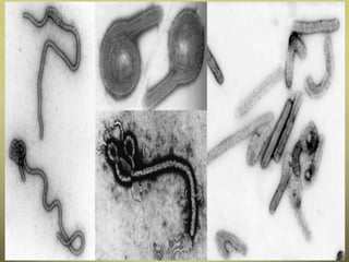 educador230167@gmail.com 4