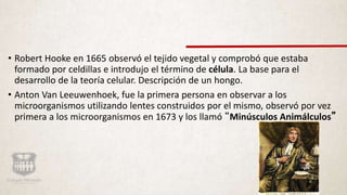 • Robert Hooke en 1665 observó el tejido vegetal y comprobó que estaba
formado por celdillas e introdujo el término de célula. La base para el
desarrollo de la teoría celular. Descripción de un hongo.
• Anton Van Leeuwenhoek, fue la primera persona en observar a los
microorganismos utilizando lentes construidos por el mismo, observó por vez
primera a los microorganismos en 1673 y los llamó “Minúsculos Animálculos”
 