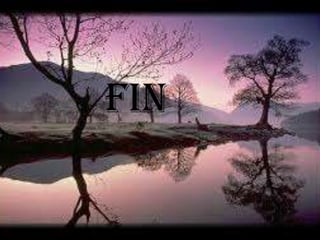 Fin
 