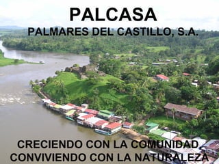 PALCASA
  PALMARES DEL CASTILLO, S.A.




 CRECIENDO CON LA COMUNIDAD,
CONVIVIENDO CON LA NATURALEZA
 