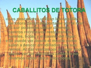 Los pescadores utilizan los caballitos 
de totora para transportarse por el mar. 
Al sur podemos ubicar diversos 
centros recreativos restaurantes , 
hoteles, botes y el casino del lugar. 
Se puede ver desde el muelle como 
salen a pescar arrodillados con sus 
remos. Al dar vueltas por el lugar uno 
puede ver los caballitos apilados por 
diversos lados cerca a los botes. 
 