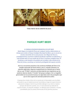 Vista interior de la catedral de piura
PARQUE KURT BEER
EL PARQUE ECOLÓGICO MUNICIPAL DE KURT BEER
Quién llegue a la ciudad de Piura, por cualquier motivo, debería darse un
tiempo para visitar el Parque Ecológico Municipal KurtBeer, que es uno de los
retratos más bellos de la costa peruana. San Miguel de Piura es,
cronológicamente, la primera ciudad de fundación española en Sudamérica, y
está situada sobre el curso medio del río Piura. Su parque ecológico tiene 75
hectáreas y está situado en la periferia de la ciudad, a diez minutos de la
Plaza de Armas y constituye un mostrario privilegiado del espacio norteño.
Acá no se encuentran presentes ní las cocoteras entalladas del Chira ni los
mangles espectrales de Puerto Pizarro, pero sí, retando al desierto, los
vibrantes algarrobos, dispersos irregularmente en el desierto por el viento
del sur y por “El Niño”, asimismo una diversidad de aves migratorias que las
podemos observar desde el “mirador” del parque ecológico. Con su magnífica
generosidad con la economía humana, los algarrobos están más protegidos aquí
que en otros lugares del calcinado piedemonte andino.
El parque fue creado a fines de los sesenta por el hacendado suizo KurtBeer,
pensando en que la Capital provincial necesitaba un lugar de esparcimiento y
educación ecológica. Esto le ha permitido albergar no ya sólo los mejores
paisajes del desierto costeño, sino un vivero forestal que difunde las
especies locales, un pequeño zoológico, un albergue para visitantes y muchas
comodidades para los paseos dominicales de las familias piuranas.
 