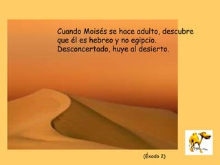 Cuando Moisés se hace adulto, descubre
que él es hebreo y no egipcio.
Desconcertado, huye al desierto.
(Éxodo 2)
 