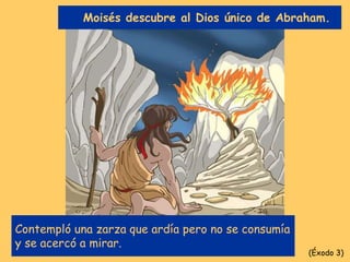 Contempló una zarza que ardía pero no se consumía
y se acercó a mirar.
Moisés descubre al Dios único de Abraham.
(Éxodo 3)
 