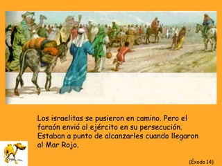 (Éxodo 14)
Los israelitas se pusieron en camino. Pero el
faraón envió al ejército en su persecución.
Estaban a punto de alcanzarles cuando llegaron
al Mar Rojo.
 