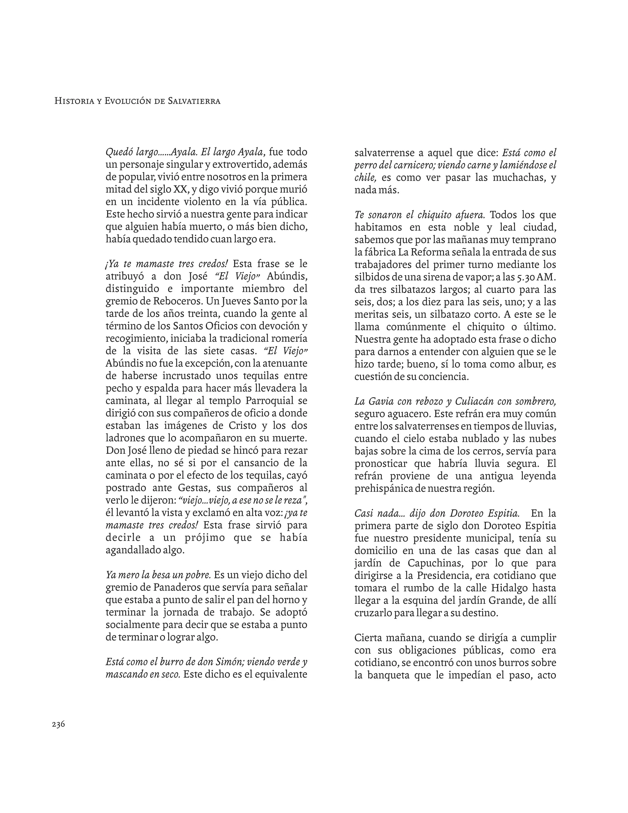 Historia de salvatierra