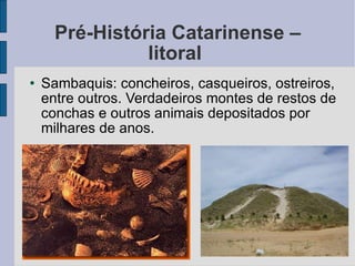 Pré-História Catarinense – litoral  Sambaquis: concheiros, casqueiros, ostreiros, entre outros. Verdadeiros montes de restos de conchas e outros animais depositados por milhares de anos. 