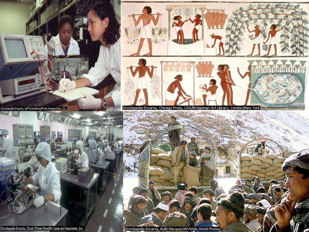 Historia ,desarrollo y estado actual de la profesion