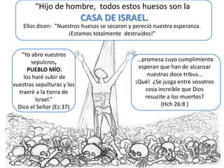 "Hijo de hombre, todos estos huesos son la
                            CASA DE ISRAEL.
    Ellos dicen: "Nuestros huesos se secaron y pereció nuestra esperanza.
                      ¡Estamos totalmente destruidos!"


   “Yo abro vuestros
       sepulcros,                               …promesa cuyo cumplimiento
      PUEBLO MÍO;                               esperan que han de alcanzar
    los haré subir de                              nuestras doce tribus…
vuestras sepulturas y los                      ¡Qué! ¿Se juzga entre vosotros
  traeré a la tierra de                           cosa increíble que Dios
         Israel.”                                 resucite a los muertos?
  Dice el Señor (Ez.37)                                 (Hch 26:8 )
 