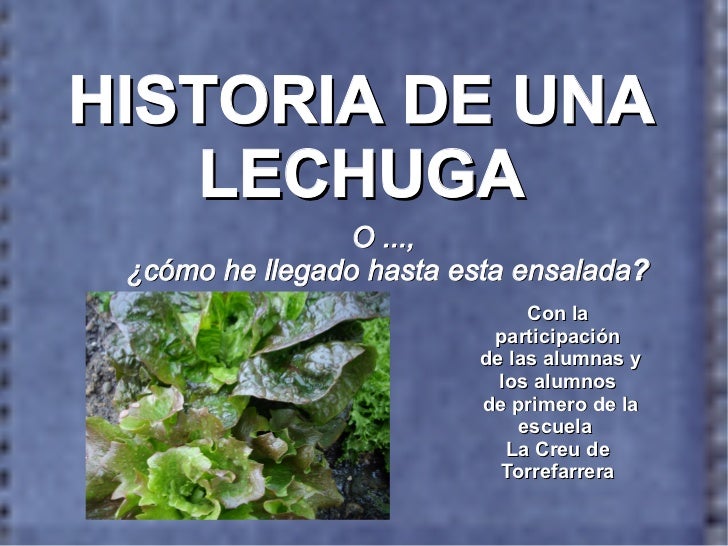 Historia de una lechuga