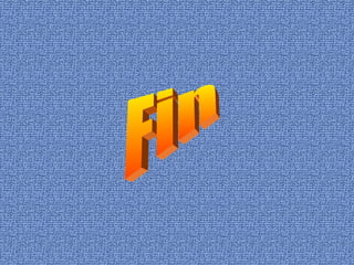 Fin 