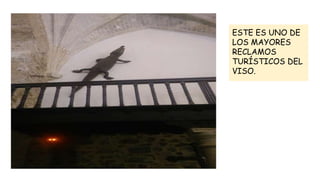 ESTE ES UNO DE
LOS MAYORES
RECLAMOS
TURÍSTICOS DEL
VISO.
 