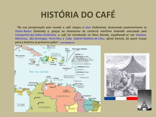 HISTÓRIA DO CAFÉ “ Na sua peregrinação pelo mundo o café chegou a  Java  (Indonesia), alcançando posteriormente os  Países Baixos  (Holanda) e, graças ao dinamismo do comércio marítimo holandês executado pela  Companhia das Índias Ocidentais , o café foi introduzido no Novo Mundo, espalhando-se nas  Guianas ,  Martinica ,  São Domingos ,  Porto Rico  e  Cuba .  Gabriel Mathien de Clieu , oficial francês, foi quem trouxe para a América os primeiros grãos”.   www.wikipedia.org 