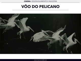 CINEMA - DESENVOLVIMENTO E INDÚSTRIA 
VÔO DO PELICANO 
www.mauriciomallet.com 
 