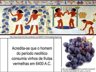 Acredita-se que o homem
do período neolítico
consumia vinhos de frutas
vermelhas em 6400 A.C.
http://oassuntoevinho.files.wordpress.com/2009/11/vinhonoegitoantigo21.jpg
http://oassuntoevinho.files.wordpress.
com/2009/11/anfora1.jpg
http://www.saudelar.com/imprimir.asp?path=/edicoes/20
12/abril/principal.asp&file=04_saber_e_viver.htm
 