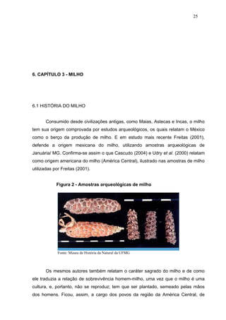 25




6. CAPÍTULO 3 - MILHO




6.1 HISTÓRIA DO MILHO


      Consumido desde civilizações antigas, como Maias, Astecas e Incas, o milho
tem sua origem comprovada por estudos arqueológicos, os quais relatam o México
como o berço da produção de milho. E em estudo mais recente Freitas (2001),
defende a origem mexicana do milho, utilizando amostras arqueológicas de
Januária/ MG. Confirma-se assim o que Cascudo (2004) e Udry et al. (2000) relatam
como origem americana do milho (América Central), ilustrado nas amostras de milho
utilizadas por Freitas (2001).


            Figura 2 - Amostras arqueológicas de milho




             Fonte: Museu de História da Natural da UFMG



      Os mesmos autores também relatam o caráter sagrado do milho e de como
ele traduzia a relação de sobrevivência homem-milho, uma vez que o milho é uma
cultura, e, portanto, não se reproduz; tem que ser plantado, semeado pelas mãos
dos homens. Ficou, assim, a cargo dos povos da região da América Central, de
 