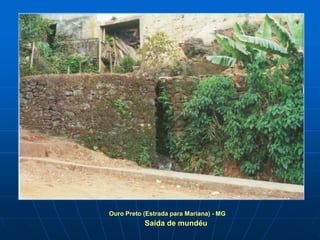 Ouro Preto (Estrada para Mariana) - MG
           Saída de mundéu
 