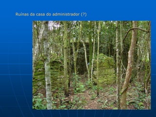 Ruínas da casa do administrador (?)
 