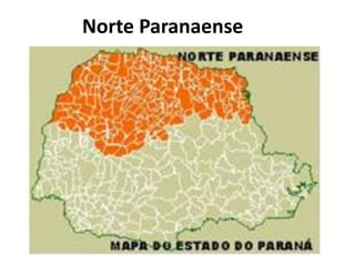 Norte Paranaense
 