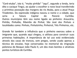 "Coré-etuba", isto é, ''muito pinhão'' "aqui", segundo a lenda, teria
dito o cacique Tingui, ao ajudar a escolher o novo local transferindo
a primitiva povoação das margens do rio Atuba, para a atual Praça
Tiradentes. Da expressão indígena nasceu o nome e a cidade, que
seria a futura Capital do Paraná: Curitiba.
Outros municípios têm seu nome ligado ao pinheiro: Araucária,
Pinhão, Pinhalão, Ribeirão do Pinhal, São José dos Pinhais e
localidades como: Pinhais, Pinhalzinho, Pinheiral, Três Pinheiros, etc.
Grande foi também a influência que o pinheiro exerceu sobre o
imigrante que, quando aqui chegou, o utilizou para construir suas
primeiras habitações. A importância de tal uso está evidenciada
através das casas de troncos, sem pregos, sendo usada apenas a
técnica do encaixe, hoje conservadas no memorial da imigração
polonesa do Bosque João Paulo II, um dos mais bonitos e atrativos
pontos turísticos de Curitiba.
 