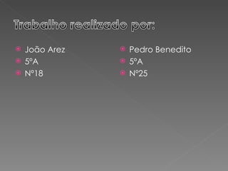  João Arez    Pedro Benedito
 5ºA          5ºA
 Nº18         Nº25
 