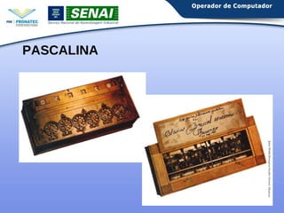 PASCALINA 
 