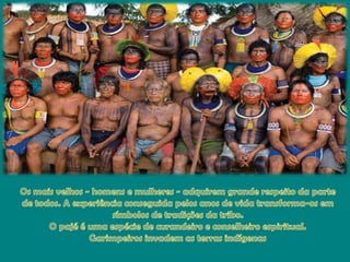 Osmaisvelhos - homens e mulheres - adquiremgranderespeito da parte de todos. A experiênciaconseguidapelosanos de vidatransforma-osemsímbolos de tradições da tribo.O pajé é umaespécie de curandeiro e conselheiroespiritual.Garimpeirosinvadem as terrasindígenas