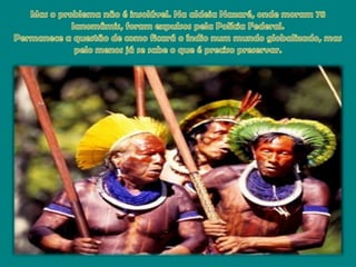 Mas o problemanão é insolúvel. Na aldeiaNazaré, ondemoram 78 Ianomâmis, foramexpulsospelaPolícia Federal.Permanece a questão de comoficará o índionummundoglobalizado, mas pelomenosjá se sabe o que é precisopreservar.