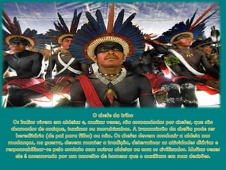 O chefe da triboOsíndiosvivememaldeias e, muitasvezes, sãocomandadosporchefes, quesãochamados de cacique, tuxánasoumorubixabas. A transmissão da chefiapodeserhereditária (de paiparafilho) ounão. Oschefesdevemconduzir a aldeianasmudanças, naguerra, devemmanter a tradição, determinar as atividadesdiárias e responsabilizar-se pelocontato com outrasaldeiasou com oscivilizados. Muitasvezesele é assessoradopor um conselho de homensque o auxiliamemsuasdecisões.