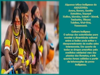 Algumastribosindígenas da AMAZONIA:Arara, Bororo, GaviãoKatukina, KayapóKulína, Marubo, Sateré – Mawé, Tenharim, TikunaTukâno, Wai-Wai, Yanomami.CulturaindígenaO esforço das autoridadesparamanter a diversidade cultural entre osíndiospodeevitar o desaparecimento de muitacoisainteressante. Um quarto de todas as drogasprescritaspelamedicinaocidentalvem das plantas das florestas, e três quartos foramcolhidos a partir de informações de povosindígenas.  