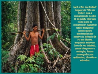 Será o fim dos índios?Apesar do "Dia do Índio", que é comemorado no dia 19 de Abril, não tem nada para se comemorar. Algumastribosindígenasforamquaseexecutadasporinteironadécada de 70 emdiante, enquantoestavamfora de seu habitat, quasechegaram a extinção, foramameaçadosporepidemias, diarréia e estradas.
