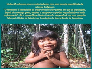 Muitosjávoltarampara a matafechada, com umagrandequantidade de criançasindígenas."O fenômeno é semelhanteaobaby boom do pós-guerra, emque as populações, depois da matançageral, tendem a recuperar as perdasreproduzindo-se maisrapidamente", diz a antropóloga Marta Azevedo, responsávelporumapesquisafeitapeloNúcleo de EstudosemPopulação da Universidade de Campinas.