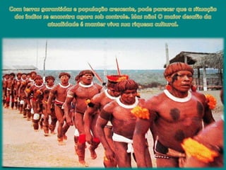Com terrasgarantidas e populaçãocrescente, podeparecerque a situação dos índios se encontra agora sob controle. Mas não! O maiordesafio da atualidade é manter viva suariqueza cultural.