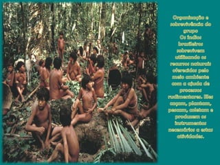 Organização e sobrevivência do grupoOsíndiosbrasileirossobrevivemutilizandoosrecursosnaturaisoferecidospelomeioambiente com a ajuda de processosrudimentares. Elescaçam, plantam, pescam, coletam e produzemosinstrumentosnecessários a estasatividades.