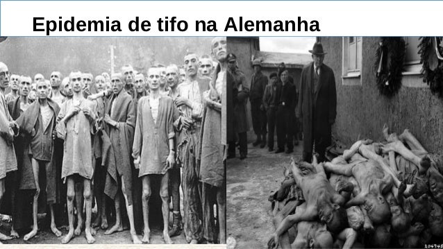 História do TIFO