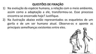 QUESTÕES DE FIXAÇÃO
1) Na evolução da espécie humana, a relação com o meio ambiente,
assim como a adaptação a ele, transformou-se. Esse processo
encontra-se encerrado hoje? Justifique.
2) Na ilustração abaixo estão representados os esqueletos de um
gorila e de um ser humano atual. Observe-os e aponte as
principais semelhanças existentes entre eles.
 