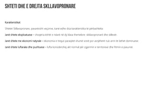 Karakteristikat:
Shtetet Skllavopronare, pavarësisht veçorive, kanë edhe disa karakteristika të përbashkëta:
Janë shtete eksploatuese – shoqëria është e ndarë në dy klasa themelore: skklavopronarë dhe skllevër.
Janë shtete me ekonomi natyrale – ekonomia e tregut paraqitet shumë vonë por asnjëherë nuk arrin të bëhet dominuese.
Janë shtete luftarake dhe pushtuese – lufta konsiderohej akt normal për zgjerimin e territoreve dhe fitimin e pasurisë.
 