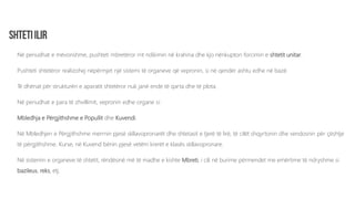Në periudhat e mëvonshme, pushteti mbretëror rrit ndikimin në krahina dhe kjo nënkupton forcimin e shtetit unitar.
Pushteti shtetëror realizohej nëpërmjet një sistemi të organeve që vepronin, si në qendër ashtu edhe në bazë.
Të dhënat për strukturën e aparatit shtetëror nuk janë ende të qarta dhe të plota.
Në periudhat e para të zhvillimit, vepronin edhe organe si:
Mbledhja e Përgjithshme e Popullit dhe Kuvendi.
Në Mbledhjen e Përgjithshme merrnin pjesë skllavopronarët dhe shtetasit e tjerë të lirë, të cilët shqyrtonin dhe vendosnin për çështje
të përgjithshme. Kurse, në Kuvend bënin pjesë vetëm krerët e klasës skllavopronare.
Në sistemin e organeve të shtetit, rëndësinë më të madhe e kishte Mbreti, i cili në burime përmendet me emërtime të ndryshme si
bazileus, reks, etj.
 