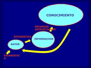 CONOCIMIENTO RECURSOS INTELECTUALES INFORMACION ESTADISTICA ESTADISTICA DATOS 