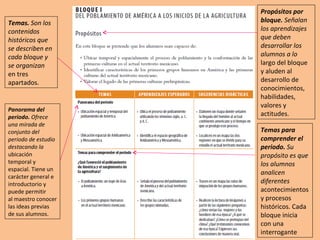 Propósitos   por bloque.  Señalan los aprendizajes que deben desarrollar los alumnos a lo  largo del bloque y aluden al desarrollo de conocimientos, habilidades, valores y actitudes. Temas.  Son los contenidos históricos que se describen en cada bloque y se organizan en tres apartados. Panorama del periodo.  Ofrece una mirada de conjunto del periodo de estudio destacando la ubicación temporal y espacial. Tiene un carácter general e introductorio y puede permitir al maestro conocer las ideas previas de sus alumnos. Temas para comprender el periodo.  Su propósito es que los alumnos analicen diferentes  acontecimientos y procesos históricos. Cada bloque inicia con una interrogante 