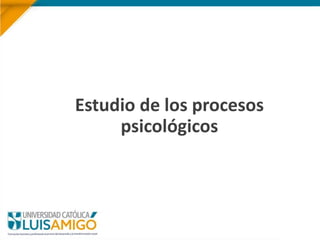 Estudio de los procesos
psicológicos
 