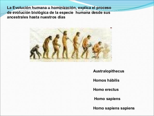Evolucion de la sociedad humana