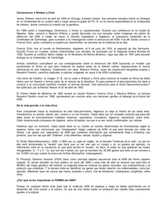 Conozcamos a Watson y Crick 
James Watson nació el 6 de abril de 1928 en Chicago, Estados Unidos. Sus primeros estudios fueron en Zoología 
en la Universidad de su ciudad natal y luego obtuvo el grado de Ph. D. en la misma especialidad en la Universidad 
de Indiana, donde comenzó su interés por la genética. 
En 1950 partió a Copenhague, Dinamarca, a iniciar su postdoctorado. Durante una conferencia en la ciudad de 
Nápoles, Italia, conoció a Maurice Wilkins y quedó fascinado con sus estudios sobre imágenes del patrón de 
difracción del ADN a través de rayos X. Decidió trasladarse a Inglaterra, al Laboratorio Cavendish de la 
Universidad de Cambridge, para sumarse a la investigación sobre la estructura del ADN. Fue allí donde conoció a 
Francis Crick, quien compartía su pasión por desentrañar los secretos de la molécula de la vida. 
Francis Crick vino al mundo en Northampton, Inglaterra, el 8 de junio de 1916, el segundo de dos hermanos. 
Estudió Física en Londres, siendo interrumpidos sus estudios de doctorado por la Segunda Guerra Mundial en 
1939. Durante el conflicto bélico trabajó en el Ministerio de Marina Británico, lugar que dejó en 1947 para estudiar 
biología en la Universidad de Cambridge. 
Ambos científicos coincidieron en sus investigaciones sobre la estructura del ADN buscando un modelo que 
esclareciera la forma en que esta molécula se duplica antes de la división celular, reproduciendo la misma 
información en dos individuos. Colaboraron con ellos, Maurice Wilkins, quien les proporcionó fotografías propias y 
Rosalind Franklin, científica dedicada a capturar imágenes en rayos X de ADN cristalizado. 
Una toma de Franklin, la imagen 51 B, dio la clave a Watson y Crick para construir el modelo en forma de doble 
hélice que los llevaría a formar parte de la historia de la Genética. El paso posterior al descubrimiento fue darlo a 
conocer a la comunidad científica mundial: el artículo llamado "Una estructura para el Ácido Desoxirribonucleico" 
fue publicado por la Revista Nature el 25 de abril de 1953. 
El Premio Nobel de Medicina de 1962 recayó en James Watson, Francis Crick y Maurice Wilkins. La doctora 
Rosalind Flanklin murió en 1958, ignorándose por muchos años sus decisivos aportes al hallazgo de la forma del 
ADN. 
De lo más grande a lo más chico 
Para comprender mejor la importancia de este descubrimiento, hagamos un viaje al interior de los seres vivos. 
Visualicemos un animal, planta, pez, insecto o un ser humano. Todos ellos son un complejo conjunto que para vivir 
debe poner en funcionamiento múltiples sistemas: respiratorio, circulatorio, digestivo, reproductor, entre otros. 
Cada sistema está compuesto de órganos, estos de tejidos, los que a su vez están conformados por células. 
Paremos aquí un momento. Cada célula tiene en su núcleo un número determinado de Cromosomas según la 
especie, éstos son estructuras que "empaquetan" largas cadenas de ADN, el que está formado por miles de 
Genes. Los genes son segmentos de ADN que contienen información que normalmente lleva a sintetizar una 
proteína, que son las que dan "órdenes" a las diferentes células, tejidos y órganos. 
El Ácido Desoxirribonucleico, ADN, o DNA por su sigla en inglés, es la llamada "molécula de la vida", ya que en 
ella está almacenada la "receta" que hace que un ser vivo sea un conejo y no un gusano por ejemplo. La 
información está en la secuencia en que está escrita la "receta", es decir, el orden en que aparecen las bases 
nitrogenadas, A - T y C - G, que son las 4 letras con que se escriben los 30.000 genes que tiene un ser humano o 
los 13.600 con que cuenta la mosca de la fruta (Drosophila melanogaster). 
El Proyecto Genoma Humano (PGH) tiene como principal objetivo secuenciar todo el ADN del Homo sapiens 
sapiens. El primer borrador se hizo público en junio del 2000 y este mes de abril se anunció que está listo el 
99,99% del mapa genético del hombre. La segunda tarea es conocer los genes normales, sus características y el 
producto que sintetizan. Y la tercera meta es identificar los genes que tienen relación con enfermedades, como por 
ejemplo, diferentes tipos de cáncer (de mama, próstata o colon), mal de Alzheimer, cardiopatías congénitas, entre 
otras. 
¿Por qué es tan importante la FORMA del ADN? 
Porque no cualquier forma sirve para que la molécula ADN se duplique y luego se divida, permitiendo así el 
desarrollo del ciclo celular y la mitosis, en que de una célula madre se producen dos células hijas exactamente 
iguales a la original. 
