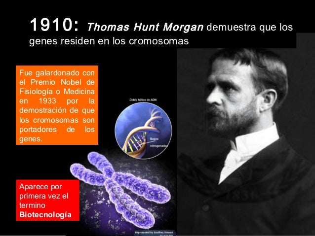 Breve historia de la genética