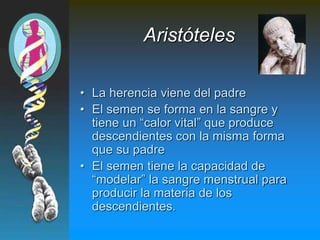 Aristóteles
• La herencia viene del padre
• El semen se forma en la sangre y
tiene un “calor vital” que produce
descendientes con la misma forma
que su padre
• El semen tiene la capacidad de
“modelar” la sangre menstrual para
producir la materia de los
descendientes.
 