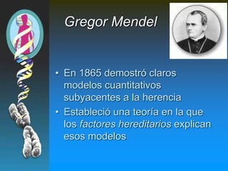 Gregor Mendel
• En 1865 demostró claros
modelos cuantitativos
subyacentes a la herencia
• Estableció una teoría en la que
los factores hereditarios explican
esos modelos
 