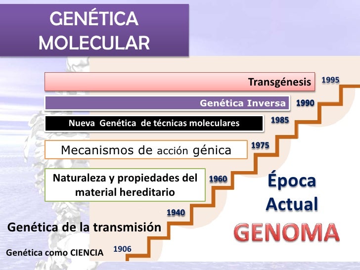 Origem genética